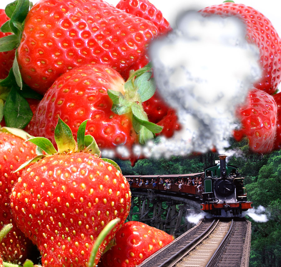 train and strawberry mountains